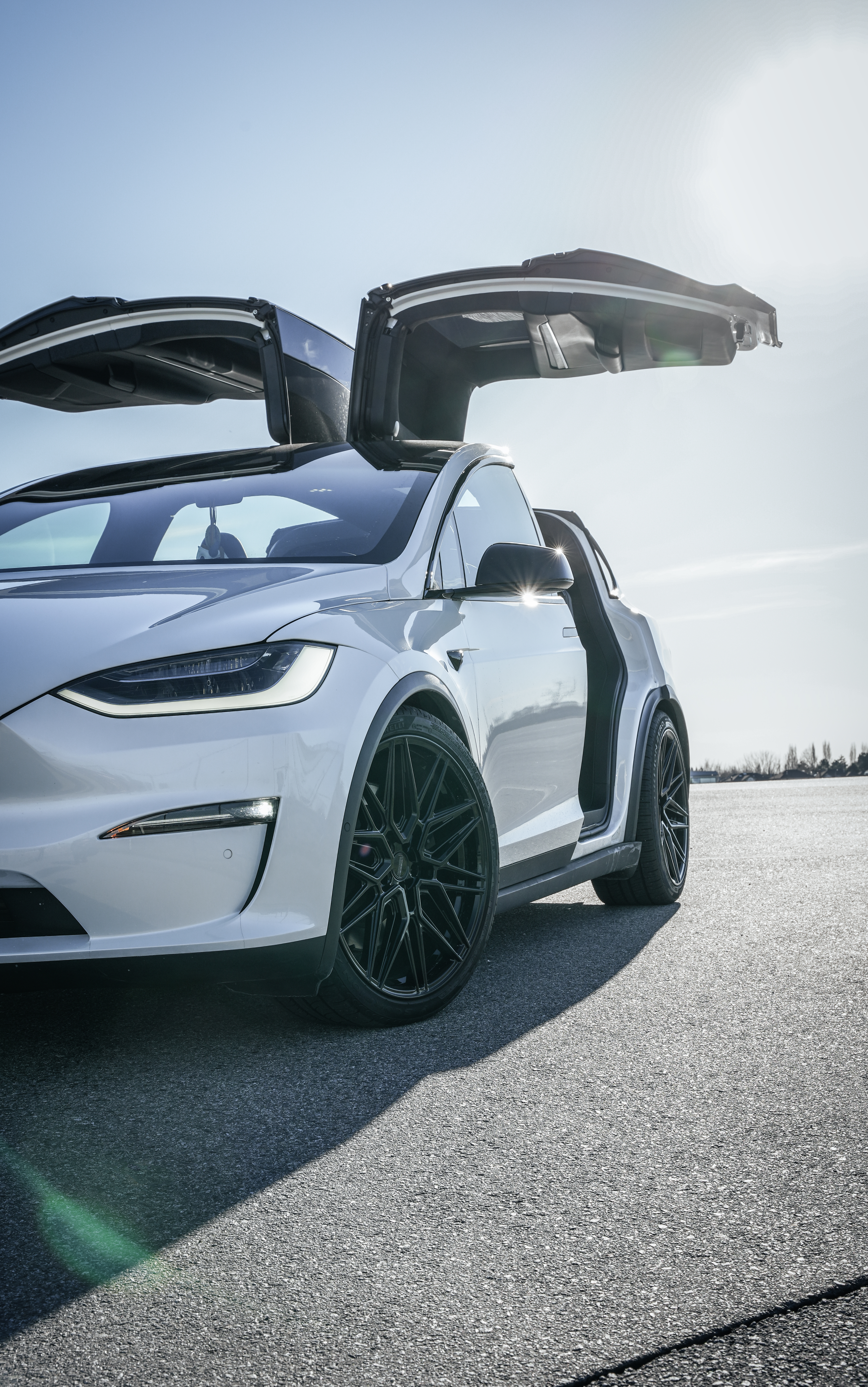 Model X Vossen
