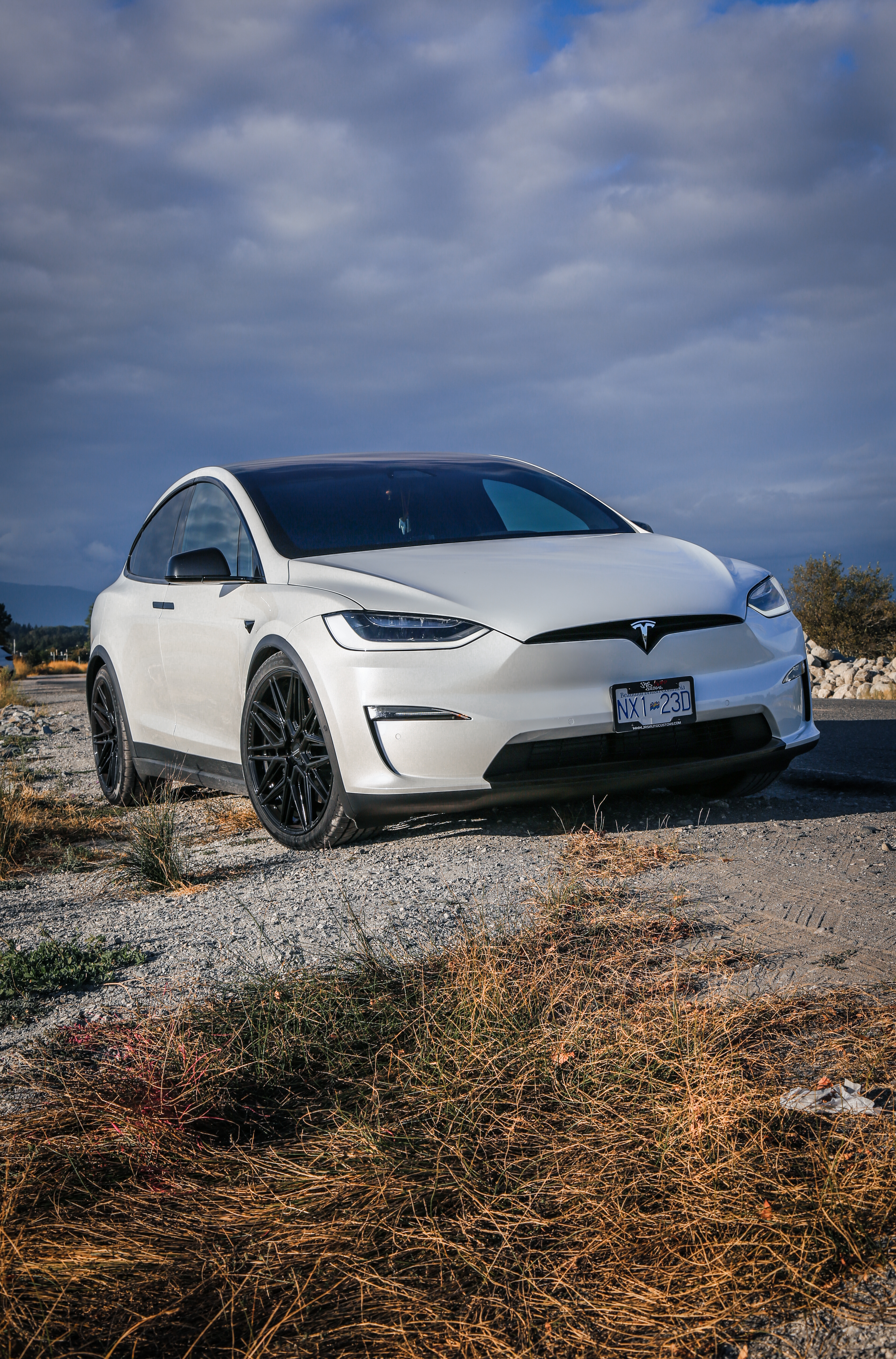 Model X Vossen